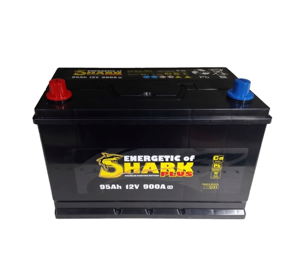 Аккумулятор, BLACK WOLF EFB, 100 Ah, прямая полярность